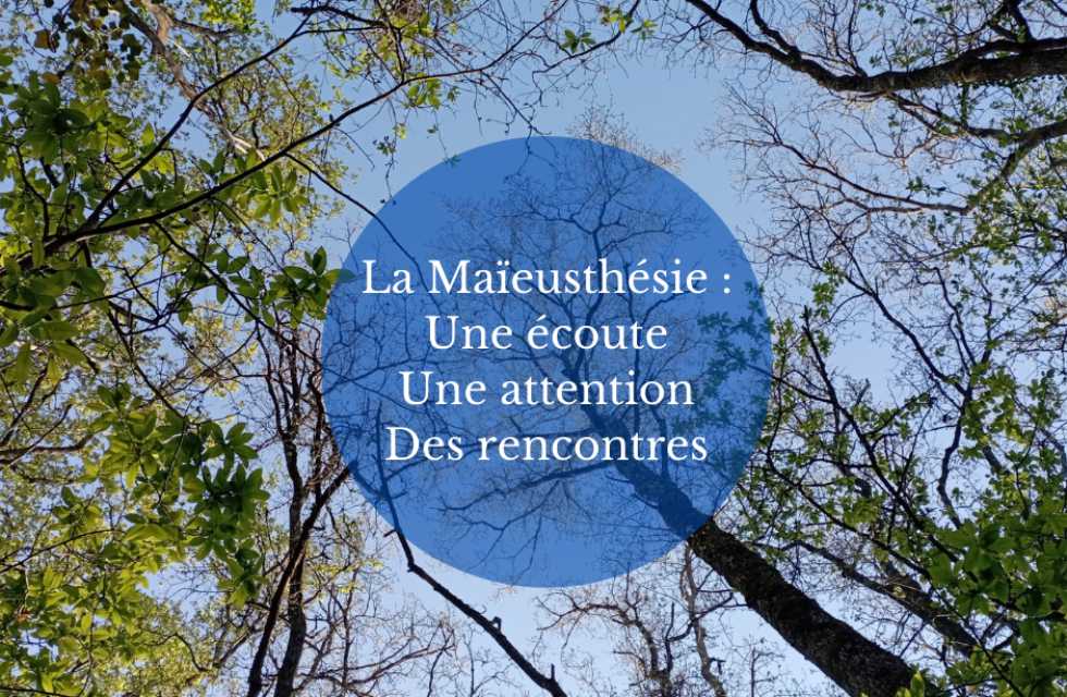 La Maïeusthésie